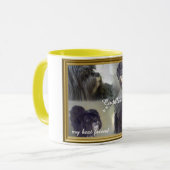 Tasse de caresses (Devant gauche)