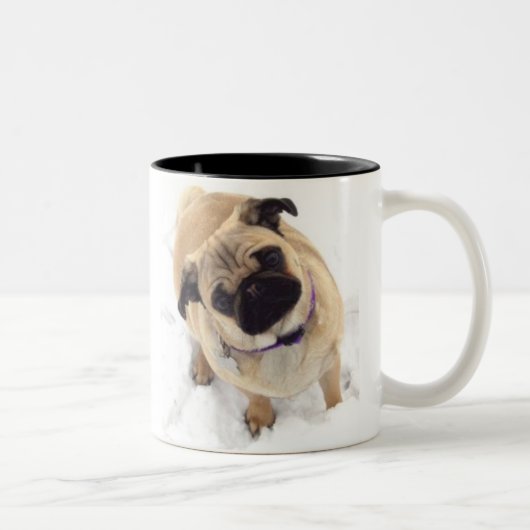 Tasse de carlin (Droit)