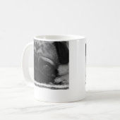 Tasse de carlin (Devant gauche)