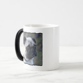 Tasse de carlin (Devant gauche)