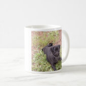 TASSE DE CARLIN (Devant droit)
