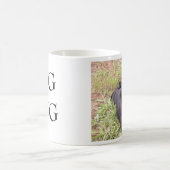TASSE DE CARLIN (Centre)