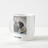 TASSE DE CARLIN (Devant gauche)