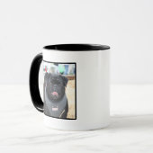 Tasse de carlin noir (Devant gauche)