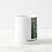 Tasse de cascade du Colorado (Centre)