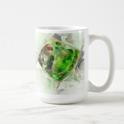Tasse de cellules de plante (Droite)