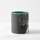 Tasse de cerfs communs (Centre)