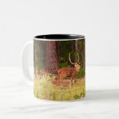 Tasse de cerfs communs d'axe (Devant gauche)