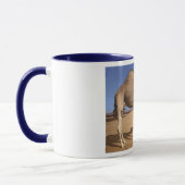 Tasse de chameau (Gauche)