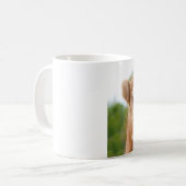 Tasse de chameau d'amusement : Ne me détestez pas (Devant gauche)