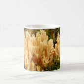 Tasse de champignons de stricta de Ramaria (Centre)
