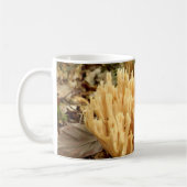 Tasse de champignons de stricta de Ramaria (Gauche)