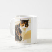 Tasse de chat de calicot (Devant gauche)