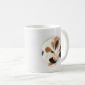 Tasse de chat de calicot de sommeil (Devant droit)