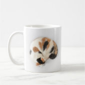 Tasse de chat de calicot de sommeil (Gauche)
