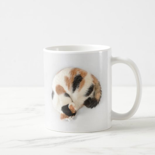 Tasse de chat de calicot de sommeil (Droite)