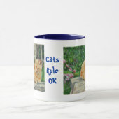 Tasse de chat de gingembre (Centre)