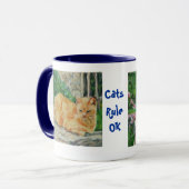 Tasse de chat de gingembre (Devant gauche)