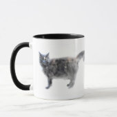 Tasse de chat de Hissy (Gauche)