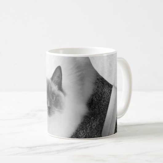 Tasse de chat de Ragdoll (Devant droit)