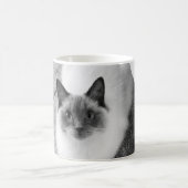 Tasse de chat de Ragdoll (Centre)