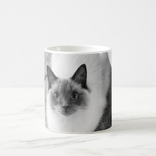 Tasse de chat de Ragdoll (Centre)