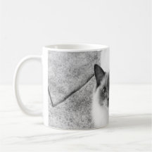 Tasse de chat de Ragdoll