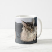 Tasse de chat de ragondin du Maine (Devant droit)