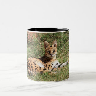 Tasse de chat de Serval