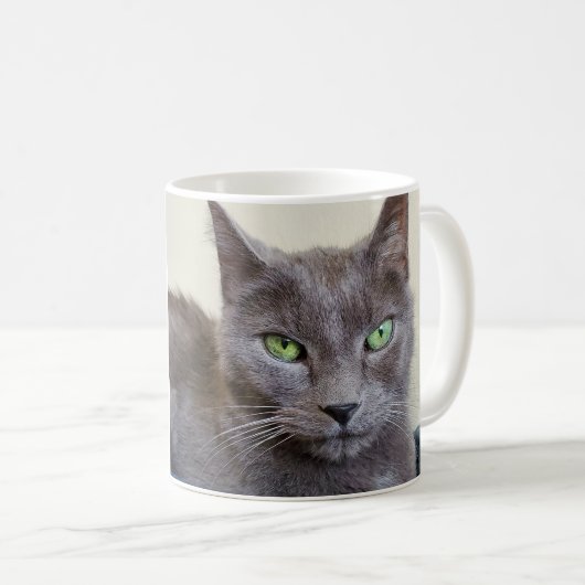 Tasse de chat gris (Devant droit)