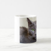 Tasse de chat gris (Centre)