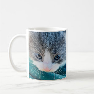 Tasse de chat, Humeur du matin, Tasse drôle