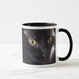 Tasse de chat noir