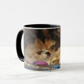 Tasse de chat persan (Devant gauche)