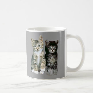 Tasse de chaton