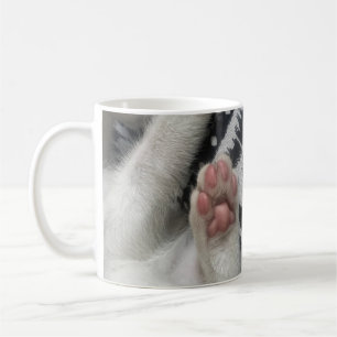 Tasse de chaton, Amour de chat, Tasse drôle