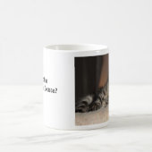 Tasse de chaton de Kimber Chillin (Centre)