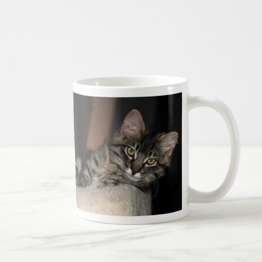 Tasse de chaton de Kimber Chillin (Droite)