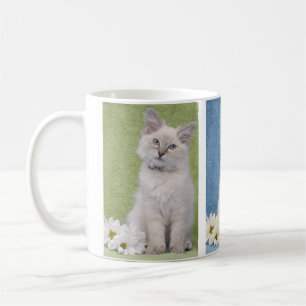 Tasse de chaton de Ragdoll
