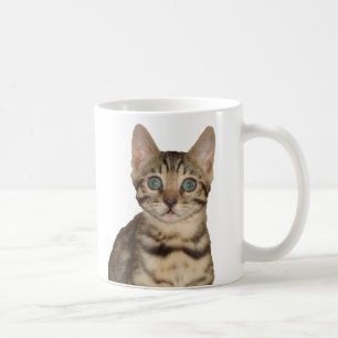 Tasse de chaton du Bengale