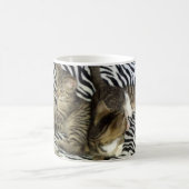 Tasse de chatons de délivrance (Centre)