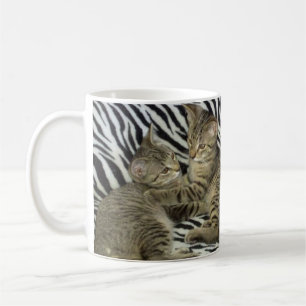 Tasse de chatons de délivrance