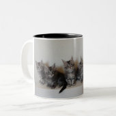 Tasse de chatons de ragondin du Maine (Devant gauche)