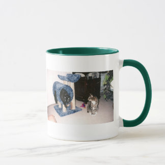 tasse de chats