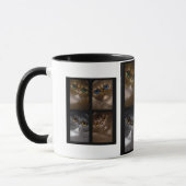 Tasse de CHATS PERSANS (Gauche)