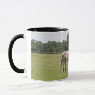 Tasse de cheval