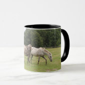 Tasse de cheval (Devant droit)