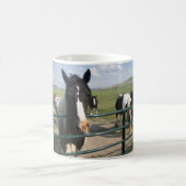 Tasse de cheval (Centre)