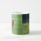 Tasse de cheval et de poulain (Centre)