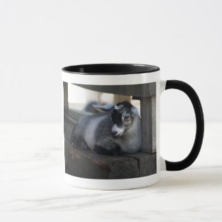 Tasse de chèvre